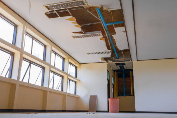 Best Sewage cleanup and water damage restoration  in Bremen, IN