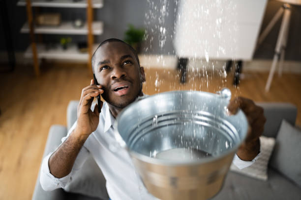 Best Commercial water damage restoration  in Bremen, IN