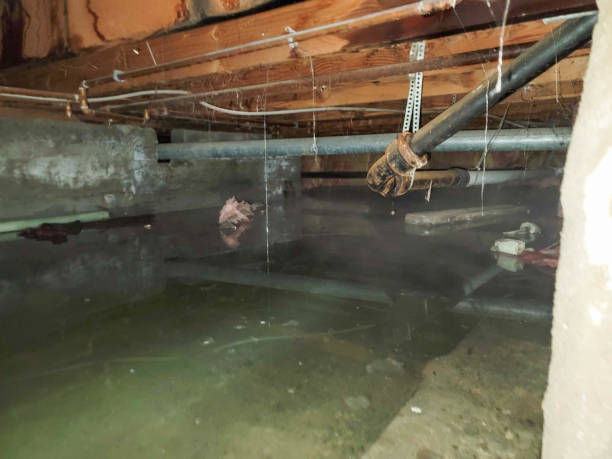 Best Water damage restoration near me  in Bremen, IN