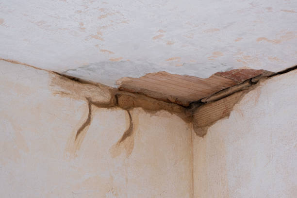 Best Water damage restoration mold remediation  in Bremen, IN