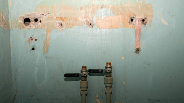  Bremen, IN Water damage restoration Pros