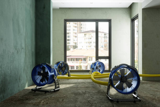 Professional Water damage restoration in Bremen, IN